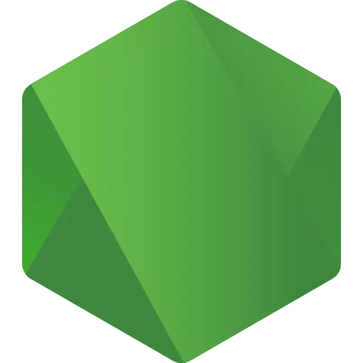 node.js developer